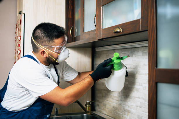 Best Affordable Pest Control Services  in Prineville Lake Acres, OR