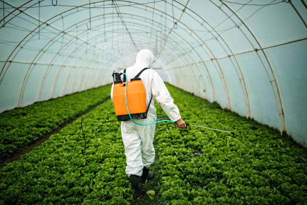 Best Exterminator Services  in Prineville Lake Acres, OR