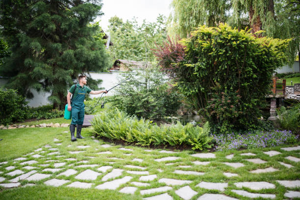 Best Insect Control  in Prineville Lake Acres, OR