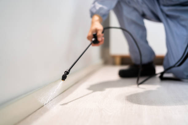Flea Control Services in Prineville Lake Acres, OR