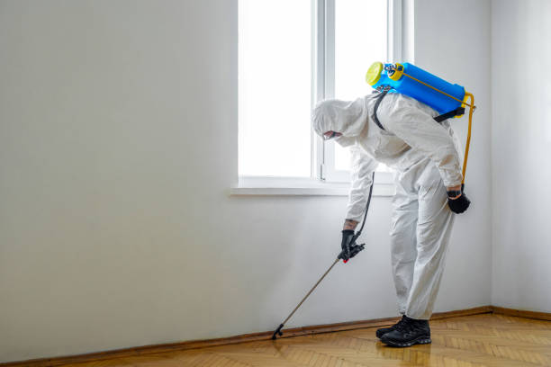 Best Best Pest Control Companies  in Prineville Lake Acres, OR