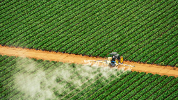 Best Commercial Pest Control Services  in Prineville Lake Acres, OR