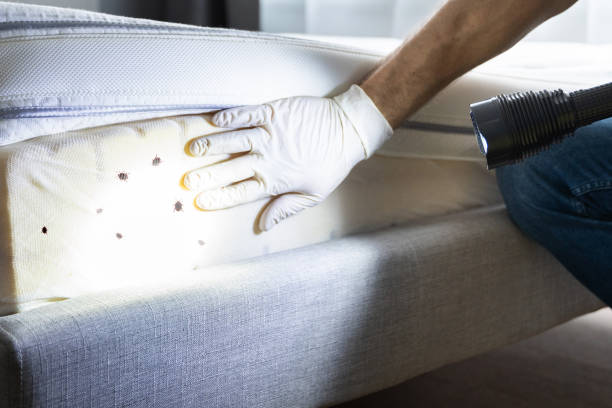 Best Best Pest Control Companies  in Prineville Lake Acres, OR
