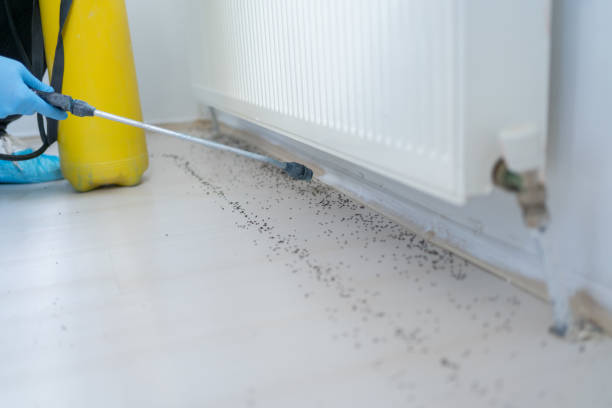 Best Best Pest Control Companies  in Prineville Lake Acres, OR